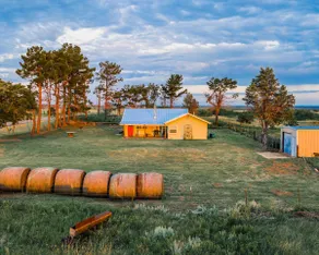 Coyote Casa - Image 2