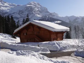 Bella casa soleggiata, esposizione sud, grande comfort, vista Glacier Diablerets - Image 5
