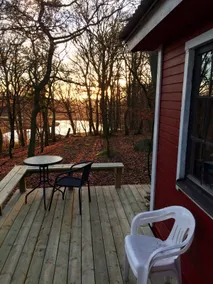 Happy Dogs Ranch-Cabin, Nature Retreat - Image 3