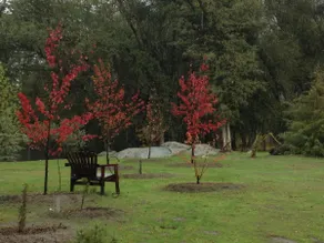 Lovers' Cabin at Yosemite Dreams - Image 4