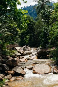 Puncak Rimba Villa Lata West East - Image 2