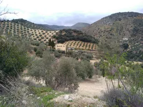 Rural Accommodation Cortijo San José - Image 5