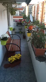 Apartamentos de José, Apartment with 2 beds - Image 3