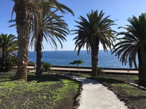 Roca del Este Apartment* bungalow - Image 4