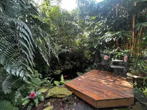Casa Jungla - Image 3