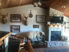 Illinois Rustic Getaway Lower Lodge - Image 3