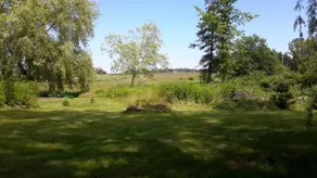 Homely country cottage with sunshine and space - Image 3