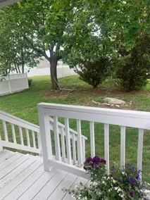 Sandhills beach Area- close to Barker House venue - Image 3