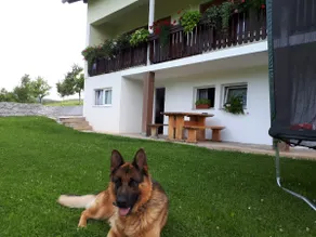 House Josipa - Image 3
