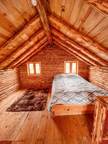 Cabin surrounded by Christmas trees - Image 3