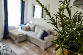 Malasits' Paradise - beautiful home in Győr - Image 2