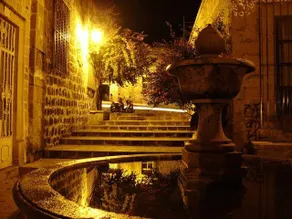 Morelia Homestay Gringo Happy - Image 3