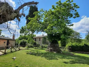 Eleutherìa: Cozy Cottage in the heart of Tuscany - Image 3