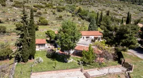 delphi villa Terracotta - Image 3