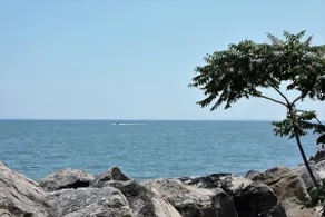 Liberty Breeze - Lake Erie Lakefront! - Image 2