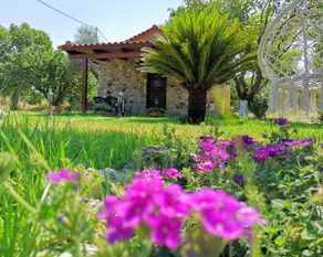 Enchanting Stone House with Private Courtyard - Image 4