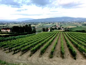 Agriturismo Chiorri in the Heart of Umbria - Image 2