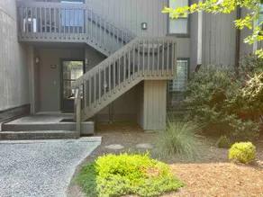 The Green Tee Suite - Image 4