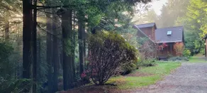 Forested Acreage*Hot Tub*Fire Pit*Minutes to Town! - Image 4