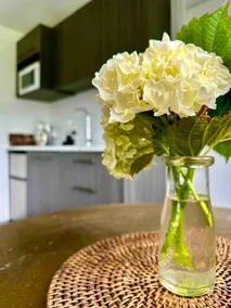 Matamata Country B&B - Image 4