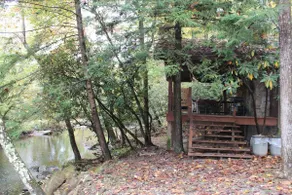 Driftwood Cabin in Almost Heaven, Hacker Valley WV - Image 3