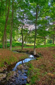 VT Farmhouse w/ Pond, Stream, Firepit & 20+ Acres - Image 2