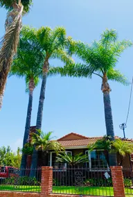 Cozy Residential San Pedro Home with Beach Vibes - Image 3