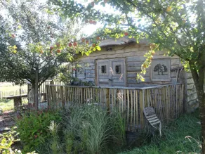 ”Head in the Stars” Treehouse - Image 4