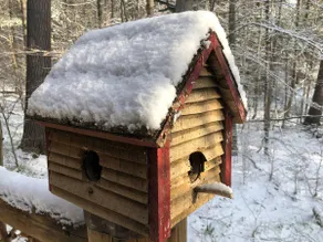 Adirondack Ski/Tree House - Games, Hot tub & Sauna - Image 4