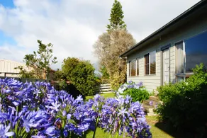 Gray Cottage, Eden, New South Wales - Image 3