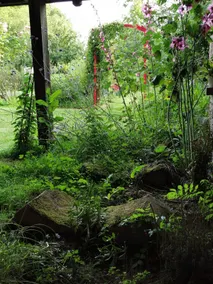 Relax at the mill with zen nature bath and yoga - Image 3