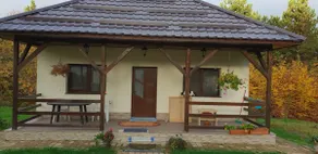 Limpedea Green house with pool Baia Mare city - Image 4