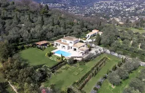 Paradise in olives grove - Image 2