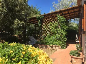 Cottage in the Cecina countryside - Image 4