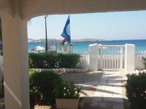 Lila' s Big in front of the Sea - Image 5