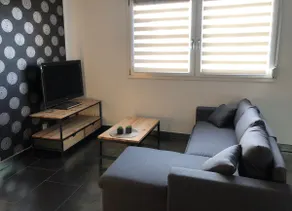 Nice 2-room apartment near train station, Center Parc, Sainte Croix - Image 2