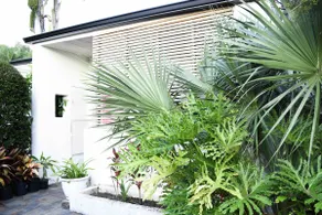 Balfour Villa - Image 2