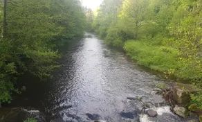 Relax in the Northern Black Forest - Image 3