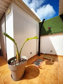 Agaete Casa BIMBA terrace center VV-2022-T3719 - Image 3