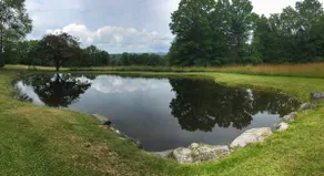 Spectacular 'Cape Cod' in Vermont! - Image 4