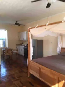 Roslyn studio Apartment #1 - Image 5