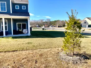 Large home, 2 primaries, 3 pools, Bethany shuttle - Image 4