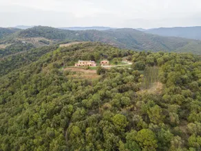Farmhouse in Contea, Angelici Winery, private pool - Image 4