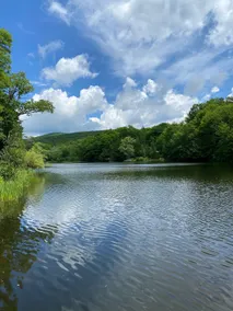 Serene Lake Cottage in Upstate NY - Image 4