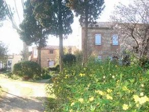 Gîte Jasmin - Image 2