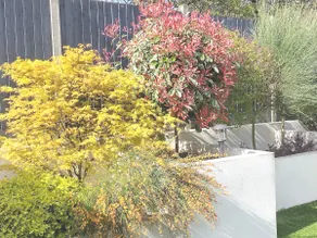 Elen's Modern Annex in Nottingham - Image 3