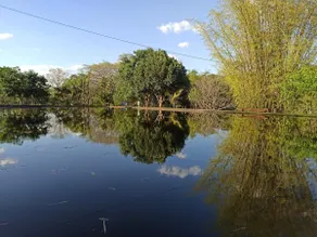 Brisa da Mata Farm. - Image 3