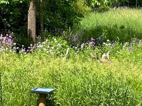 Studio on the Prairie Fen - Image 4