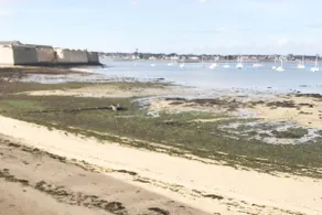 Nice independent T1 in beautiful Breton house - Image 2