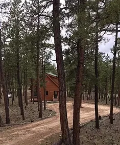 Hundefreundliche, gemütliche 3-Zimmer-Hütte im Wald - Image 2